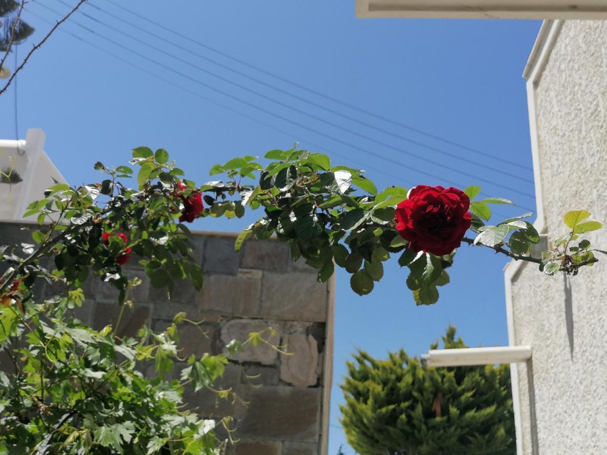 איוס חורה Almira Inn מראה חיצוני תמונה
